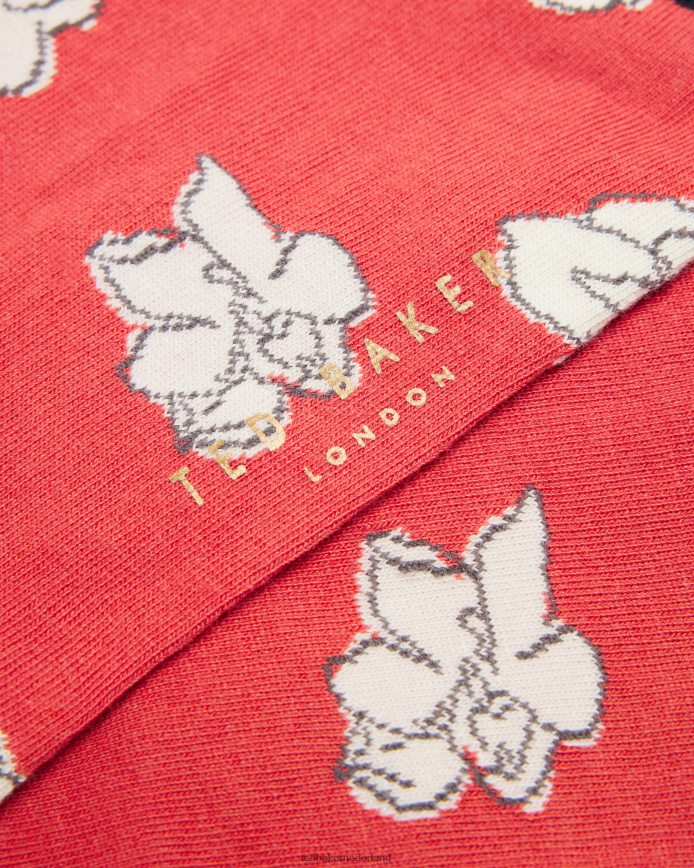 Ted Baker britesk heldere bloemensokken oranje accessoires Heren 6R02N1969