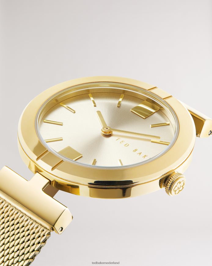 Ted Baker Darbs T-frame horloge met mesh band gouden kleur accessoires vrouwen 6R02N1011