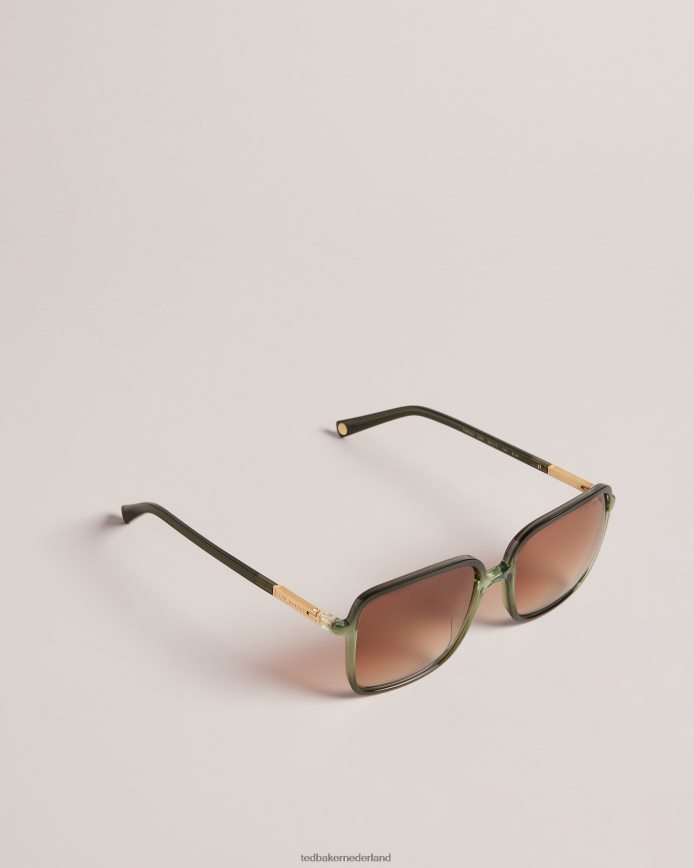 Ted Baker Barron oversized zonnebril met vierkant montuur groente accessoires vrouwen 6R02N1090