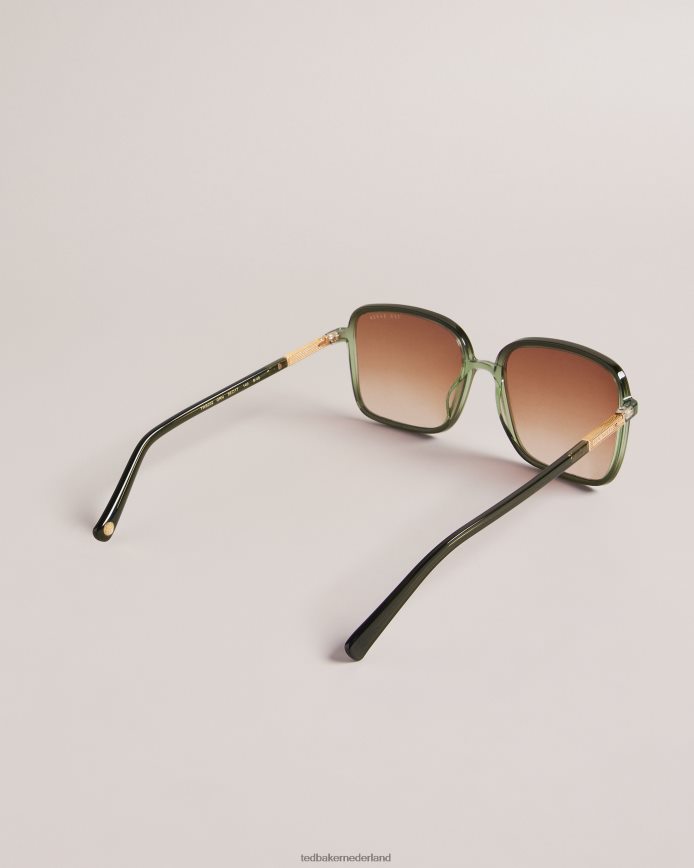 Ted Baker Barron oversized zonnebril met vierkant montuur groente accessoires vrouwen 6R02N1090