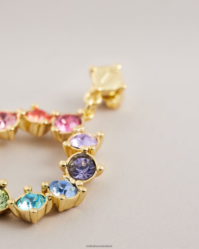 Ted Baker Kristallen hoepel oorbellen veelkleurig juwelen vrouwen 6R02N1150