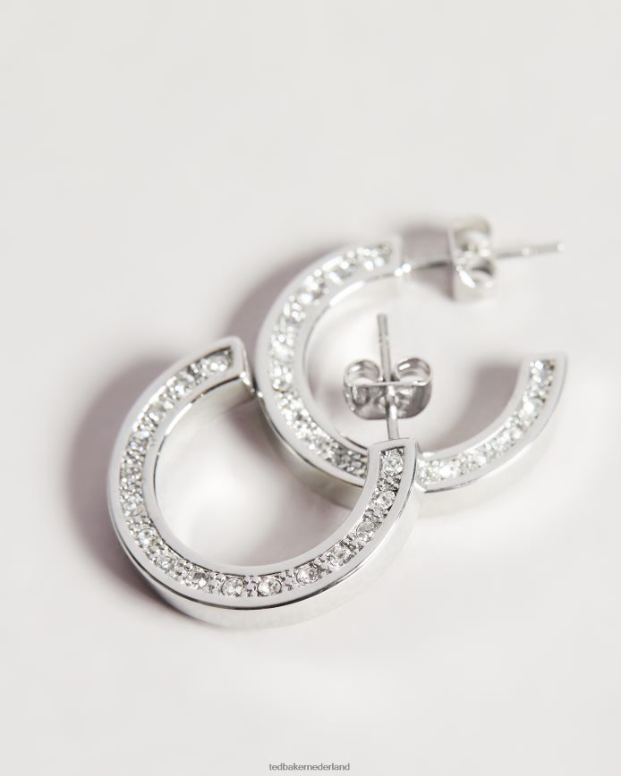 Ted Baker Senatta kristallen hoepeloorbel zilvere kleur juwelen vrouwen 6R02N1028