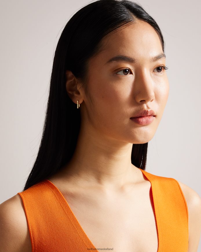 Ted Baker senrii kleine vierkante scharnieroorbellen gouden kleur juwelen vrouwen 6R02N1008