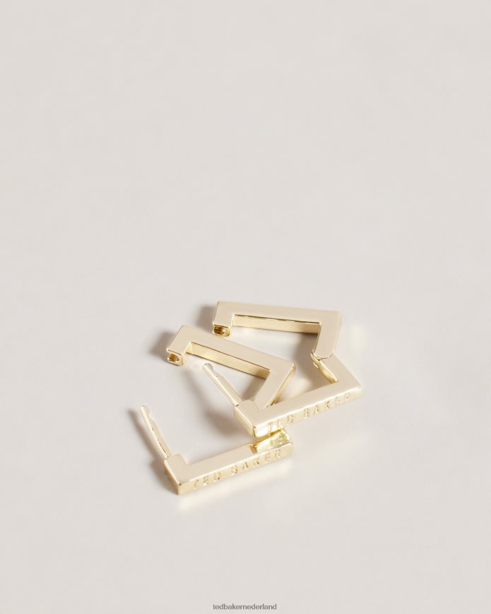 Ted Baker senrii kleine vierkante scharnieroorbellen gouden kleur juwelen vrouwen 6R02N1008